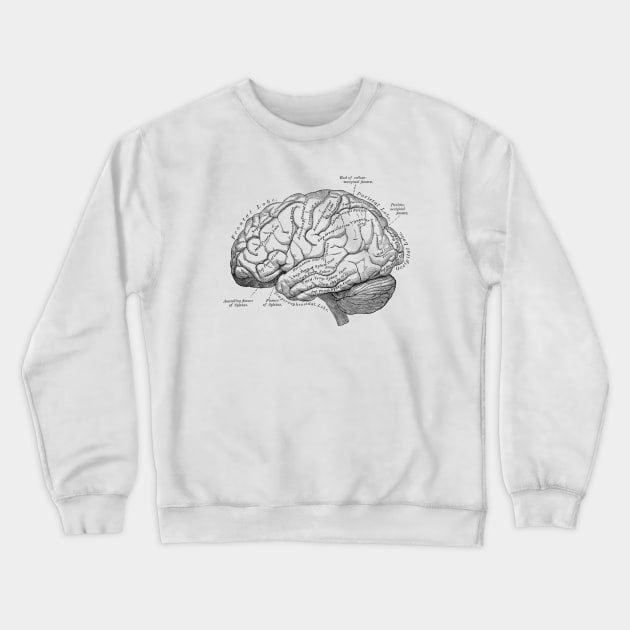 Human Body - Brain vol.3 Crewneck Sweatshirt by be yourself. design